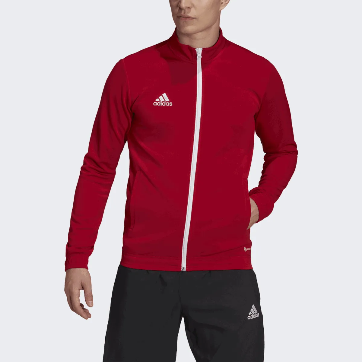 ADIDAS ENTRADA 22 TRAININGSVEST HEREN  ROOD