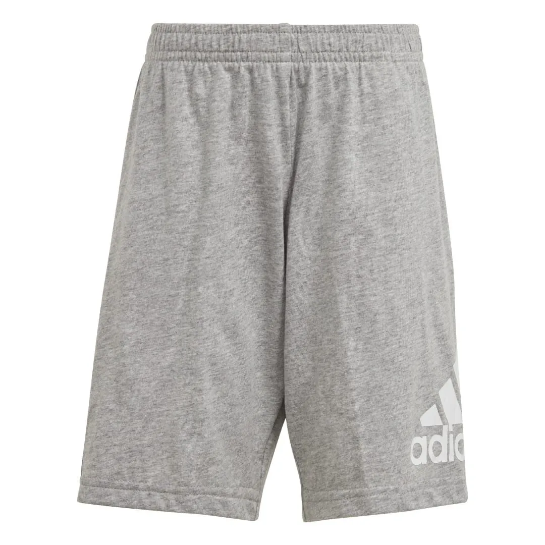 ADIDAS ESSENTIALS LOGO TSHIRT EN SHORT SET LITTLE KIDS BLUE GREY