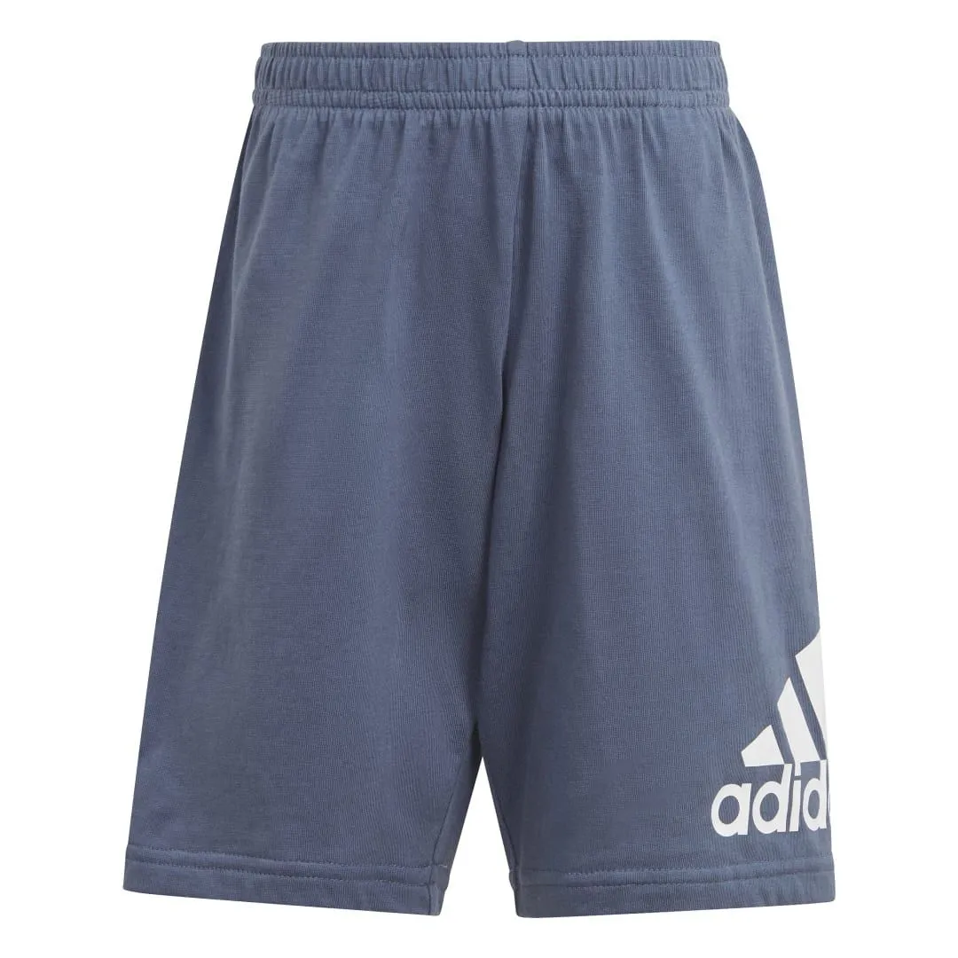 ADIDAS ESSENTIALS LOGO TSHIRT EN SHORT SET LITTLE KIDS SEMI SPARK
