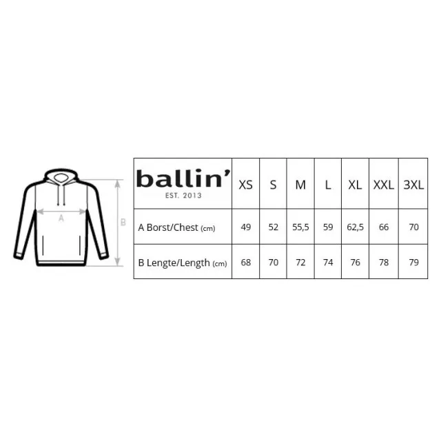 Ballin Est. 2013 Basic hoodie