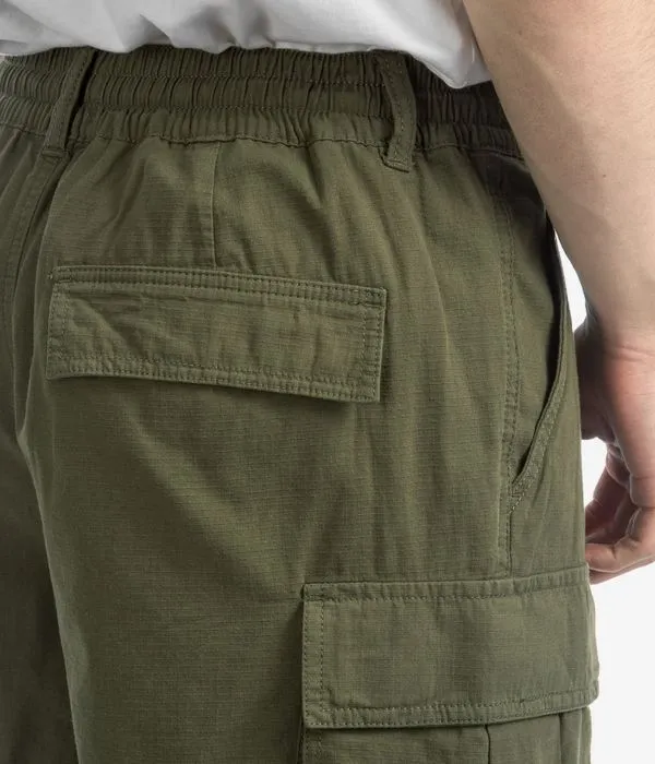 DC Tundra Cargo Shorts (ivy green)