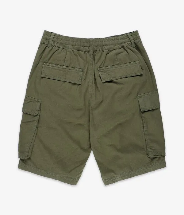 DC Tundra Cargo Shorts (ivy green)