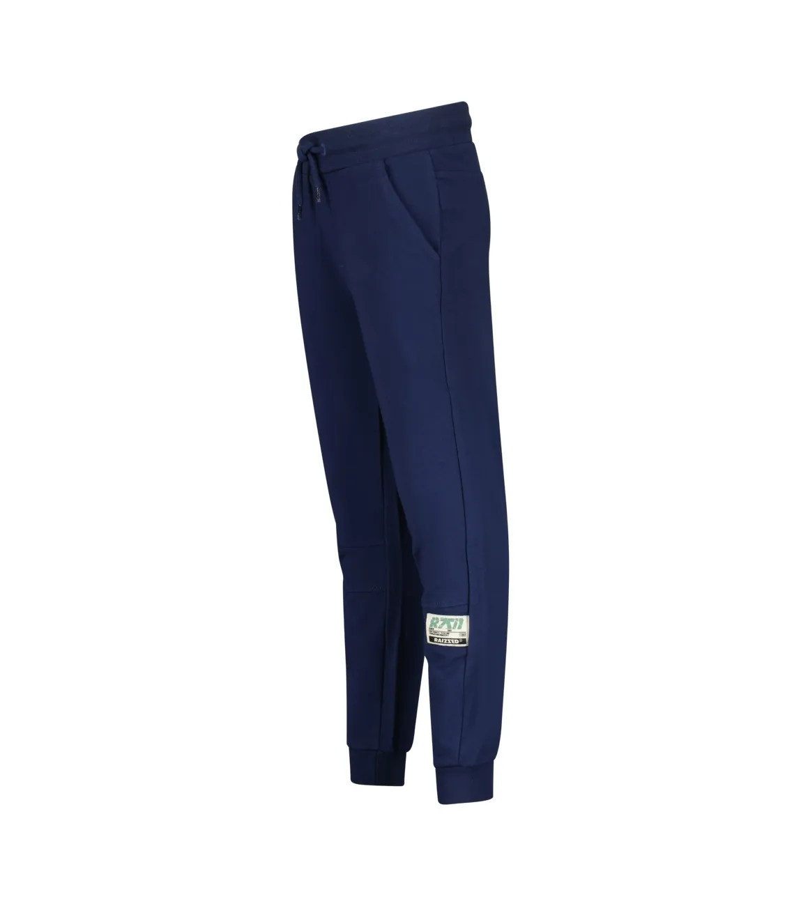 Raizzed Tezu Regular Pants 100 Dark Blue