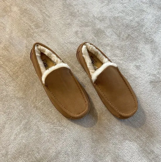 UGG ASCOT HEREN SLIPPERS  CHESTNUT  MAAT 41